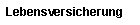 Lebensversicherung